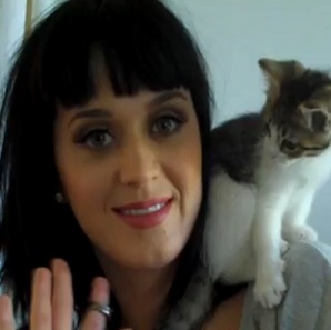 Cats, an instant mood lifter for Katy Perry