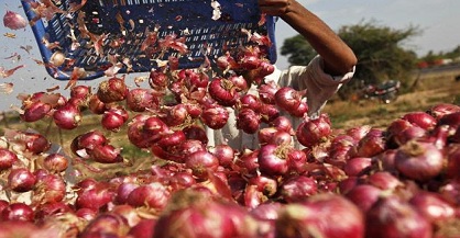 Pakistani onions bring down prices in Kashmir