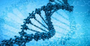 New mutant gene discovery to help research