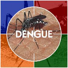Dengue cases in the capital reach 5,462