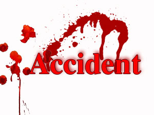 Eight die in Odisha accident