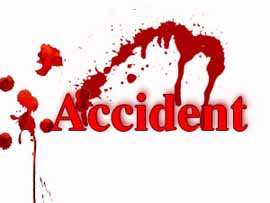 12 die in Andhra bus accident