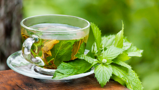 Peppermint tea is good to boost memory