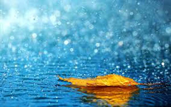 Monsoon to hit Odisha coast by June eight