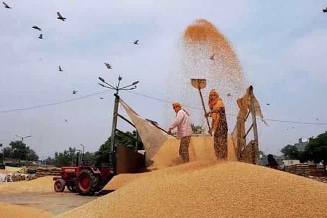 Millers are ready to import 8.25 lakh tonnes of wheat this yr