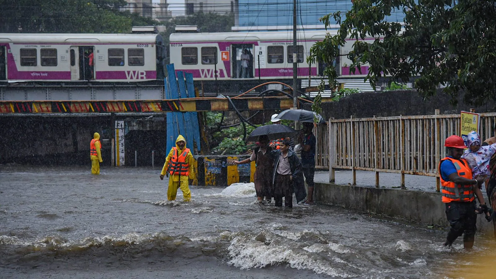 Mumbai Rains: Leptospirosis cases may rise