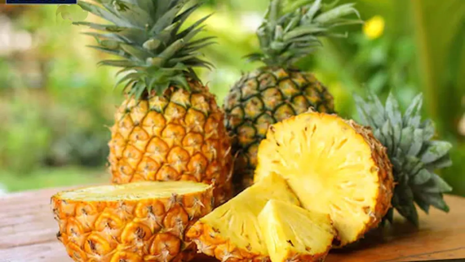 Succulent, Sour and Sweet: A History of Pineapple